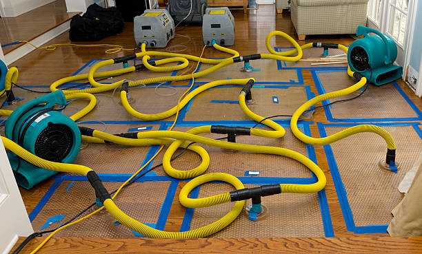 Professional Burst Pipe Water Damage technician working in Winifrede, WV